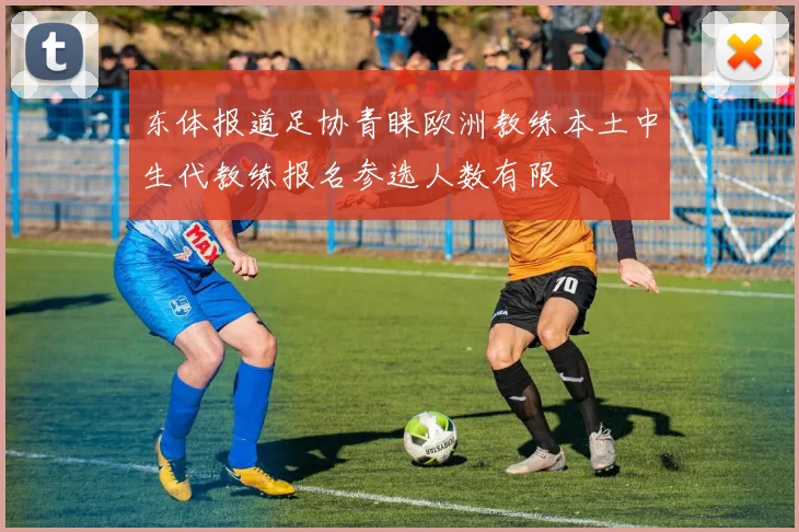 东体报道足协青睐欧洲教练本土中生代教练报名参选人数有限