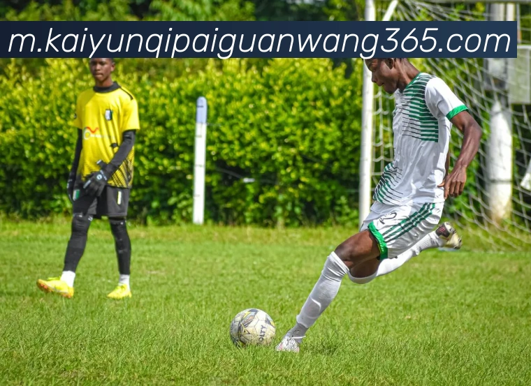 App Interface Preview